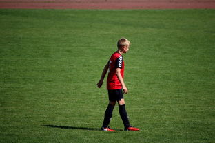 华体会体育平台-俱乐部青训选拔日活动吸引众多有潜力少年参与，足球青训俱乐部招生宣传