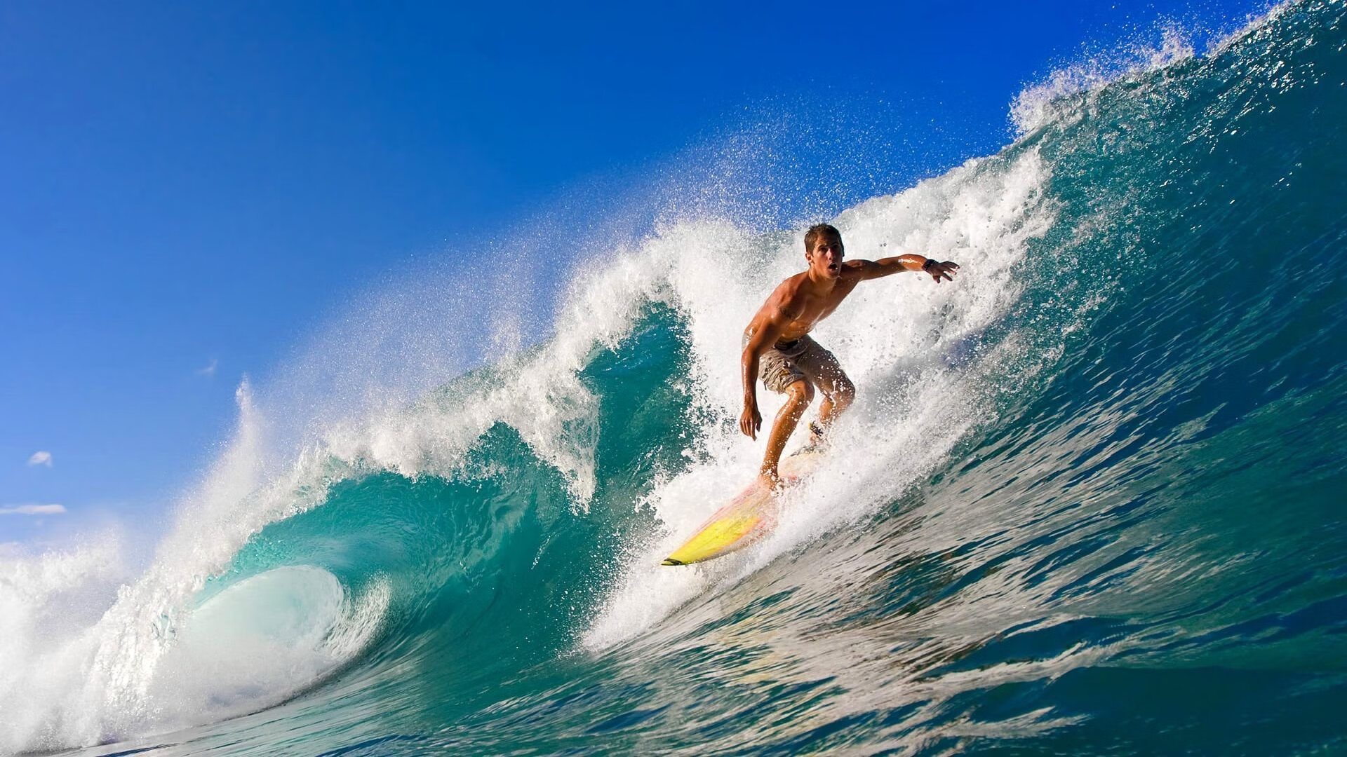 华体会登陆-体育解说员：回顾那些经典语录与球星瞬间，体育 解说